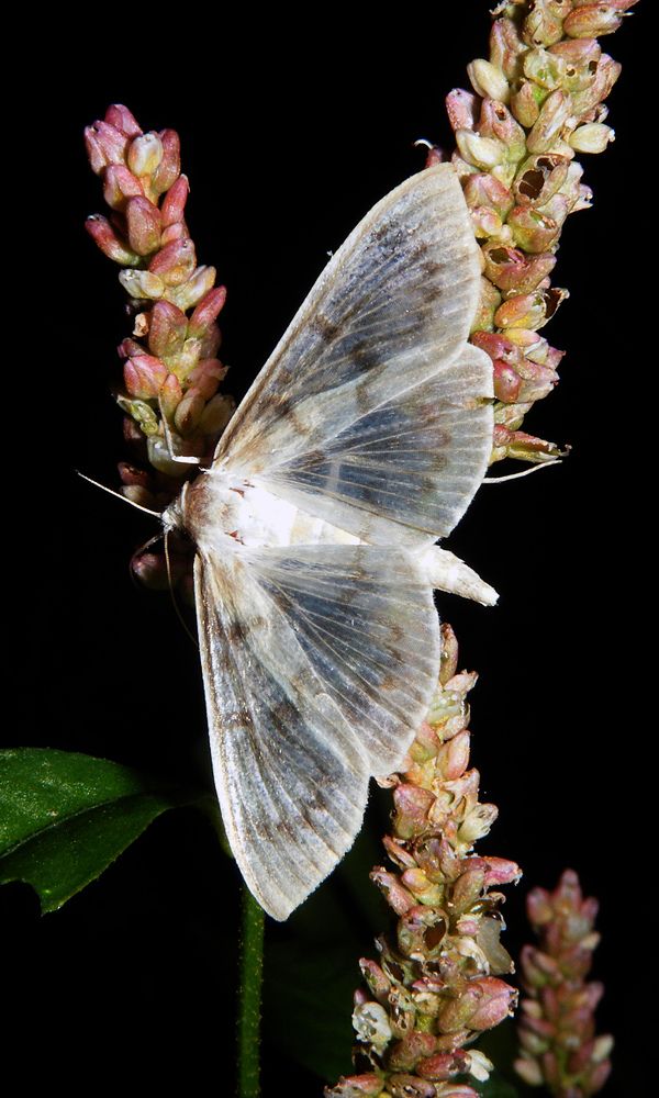 Photograph by Вячеслав Швецов