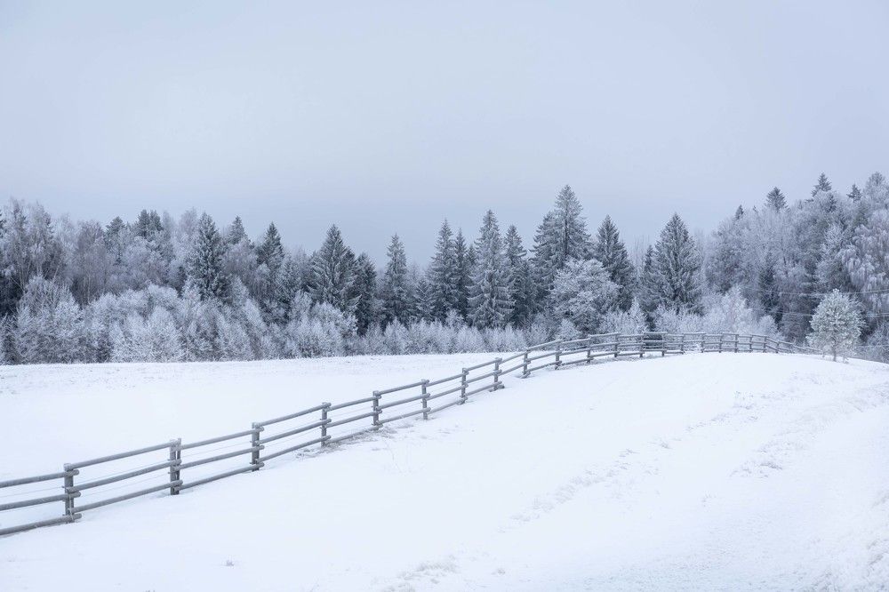 Photograph by Наталья Катюжанская