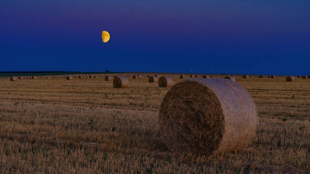 Фотография автора Николай Бологов
