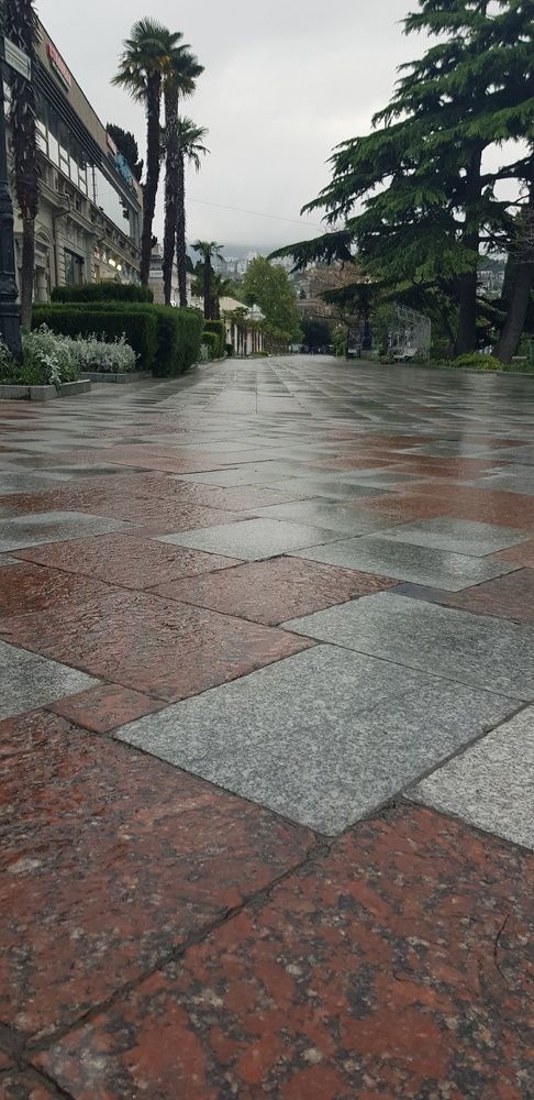 Фотография автора Ольга Мусина