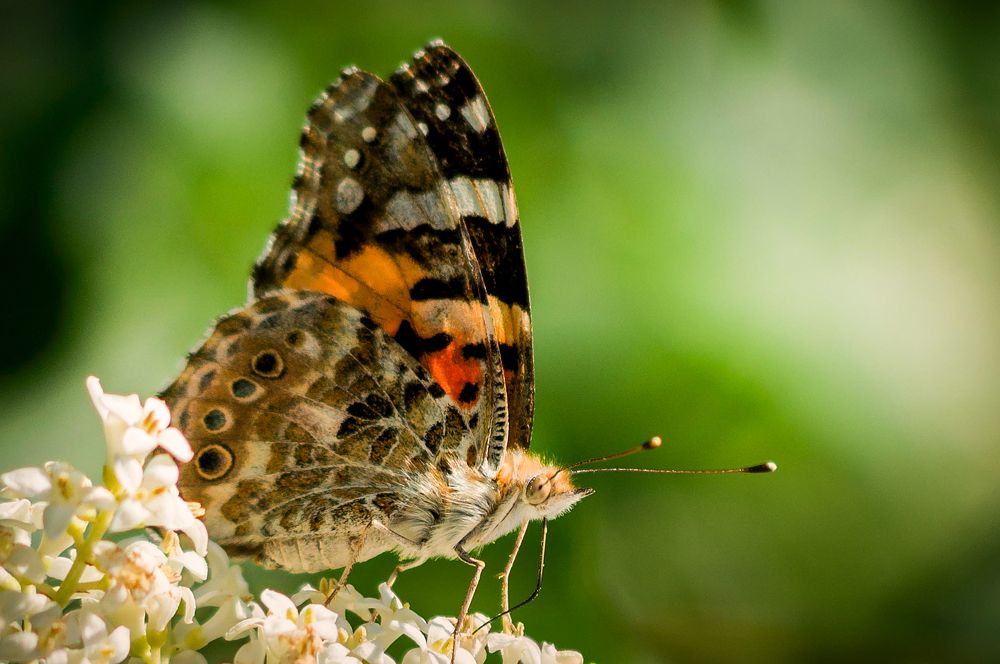 Photograph by Юрий Яковлевич