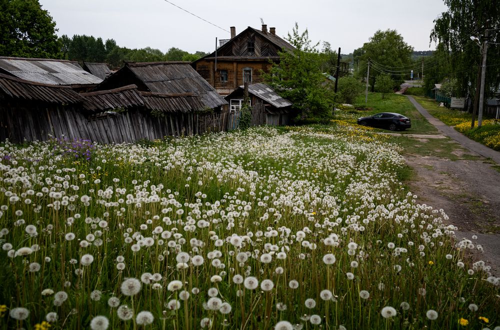 Photograph by Николай Сахаров