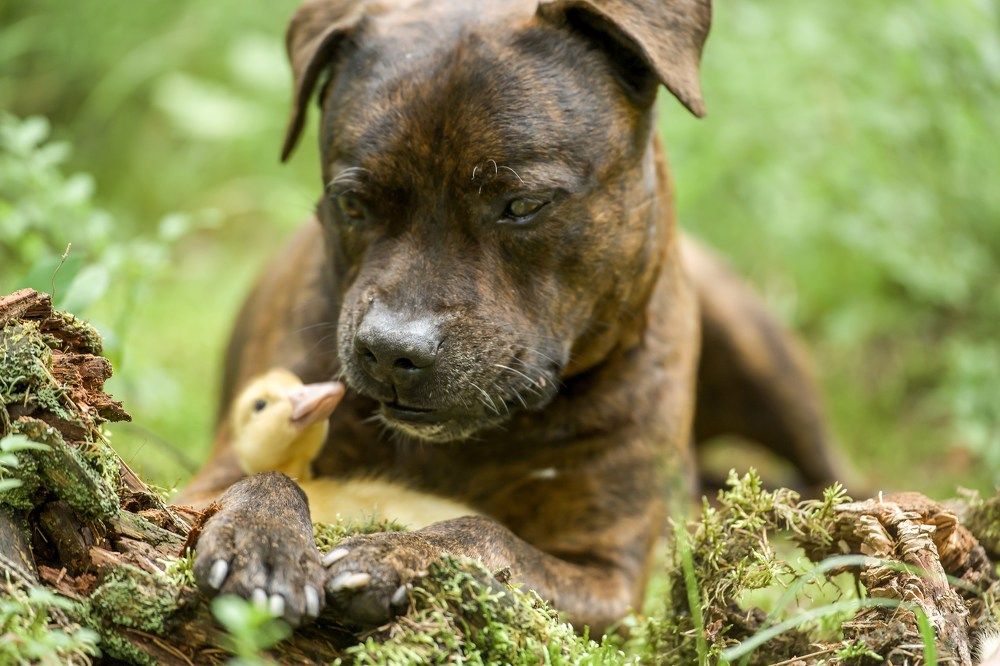 Photograph by Марина Суздаль