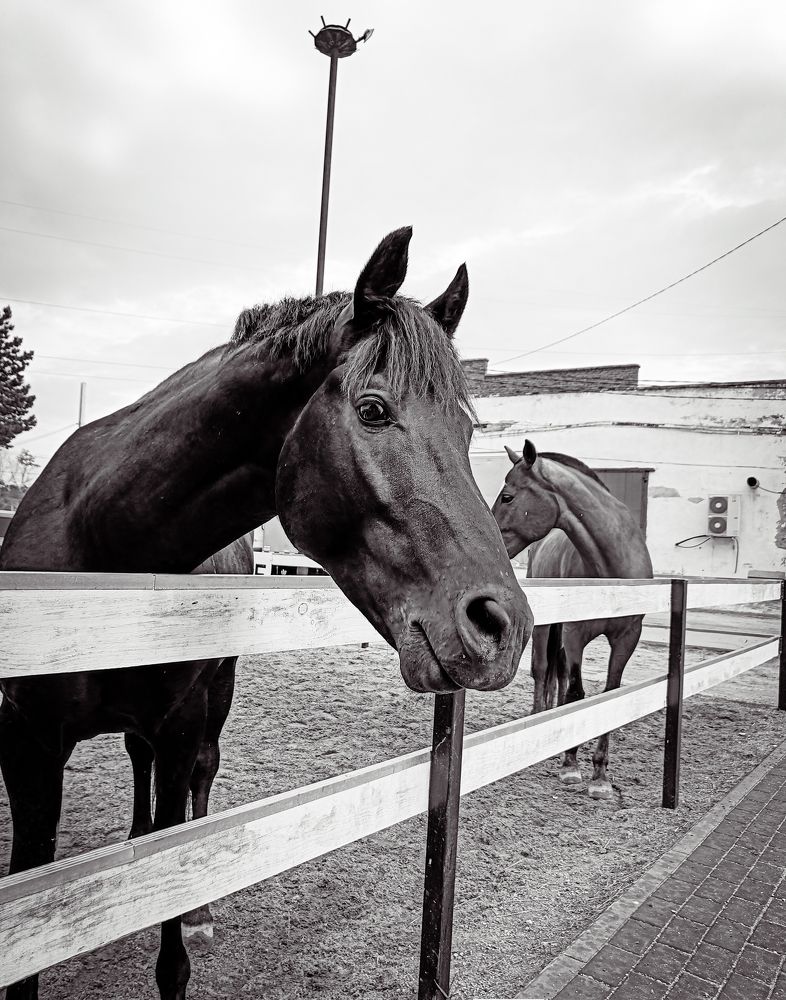 Photograph by Мария