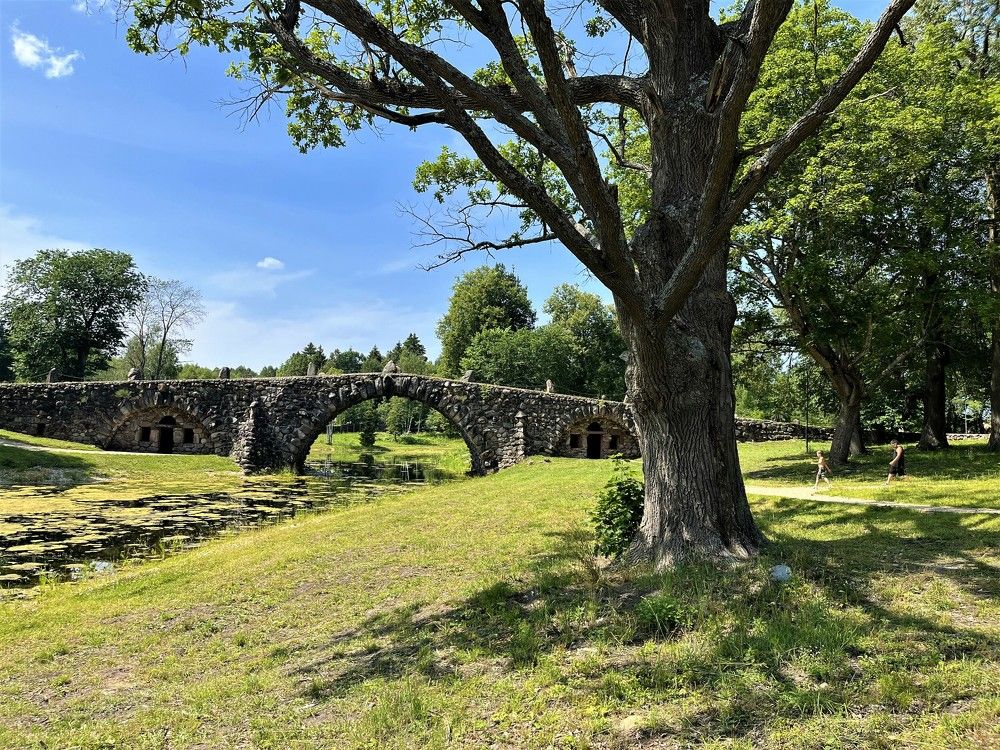 Photograph by Елена Карпухно