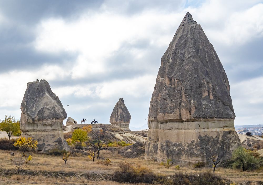 Photograph by Савчук Сергей