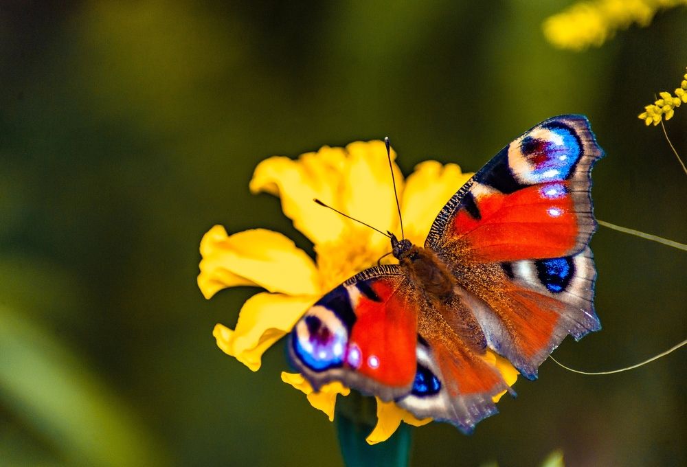 Photograph by Алексей Патрушев