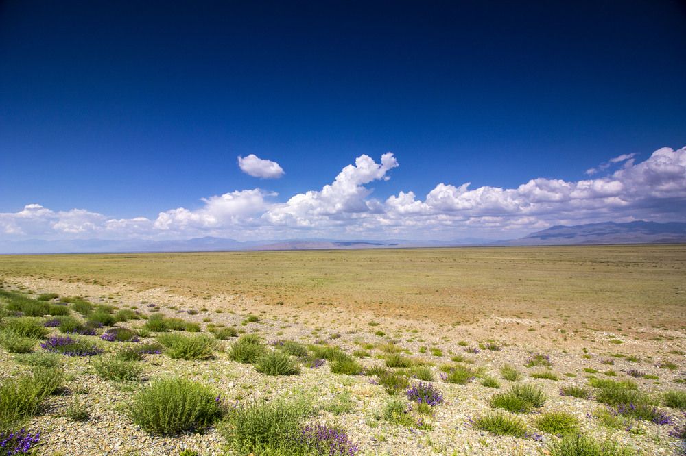 Photograph by Анатолий Шулежко