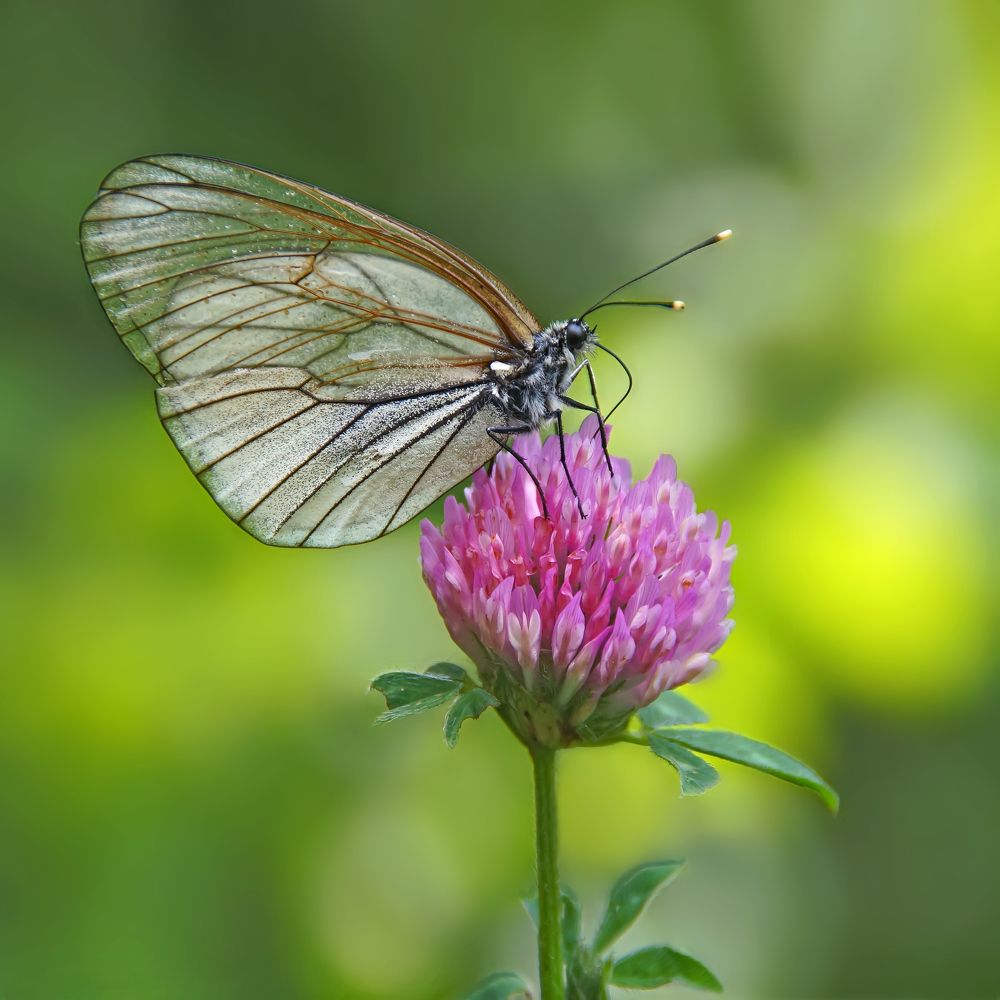 Photograph by Павел Колеснев