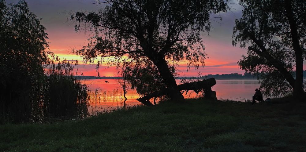 Photograph by Сергей Фунтовой