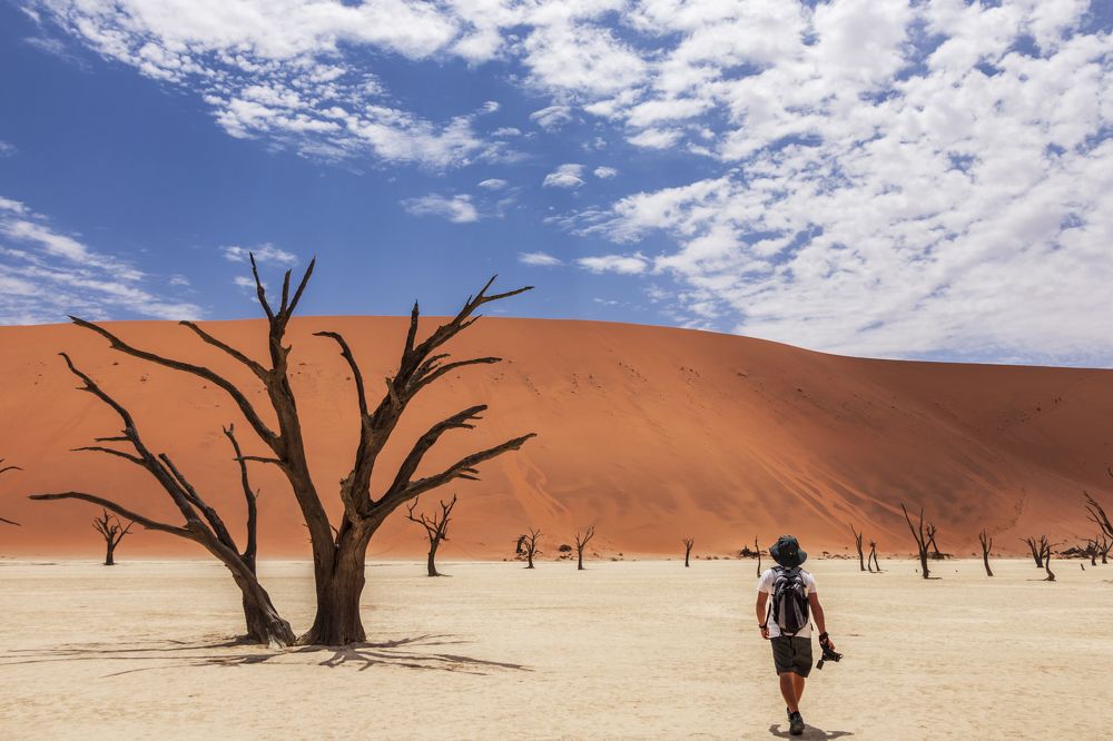 Photograph by Ricardo Ferreira