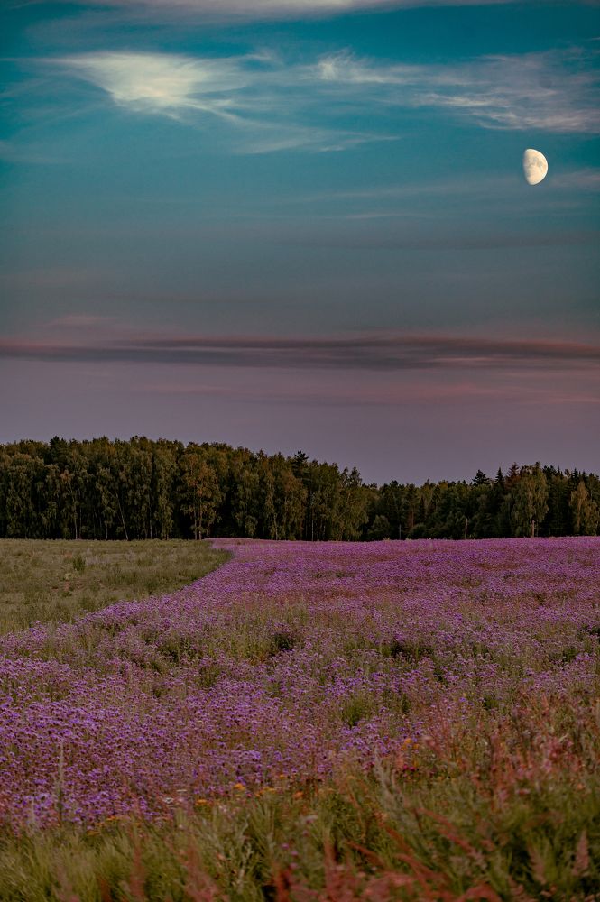 Photograph by 