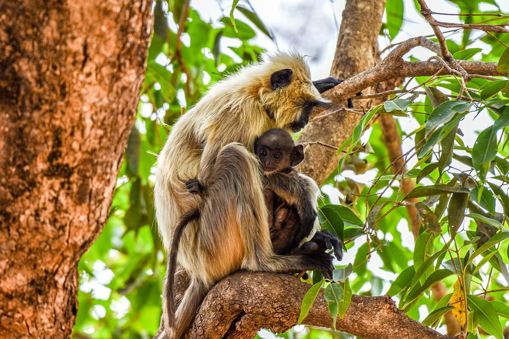 Photograph by Jaikumar Moorthi
