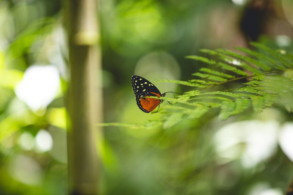 Photograph by Timur Korotkov