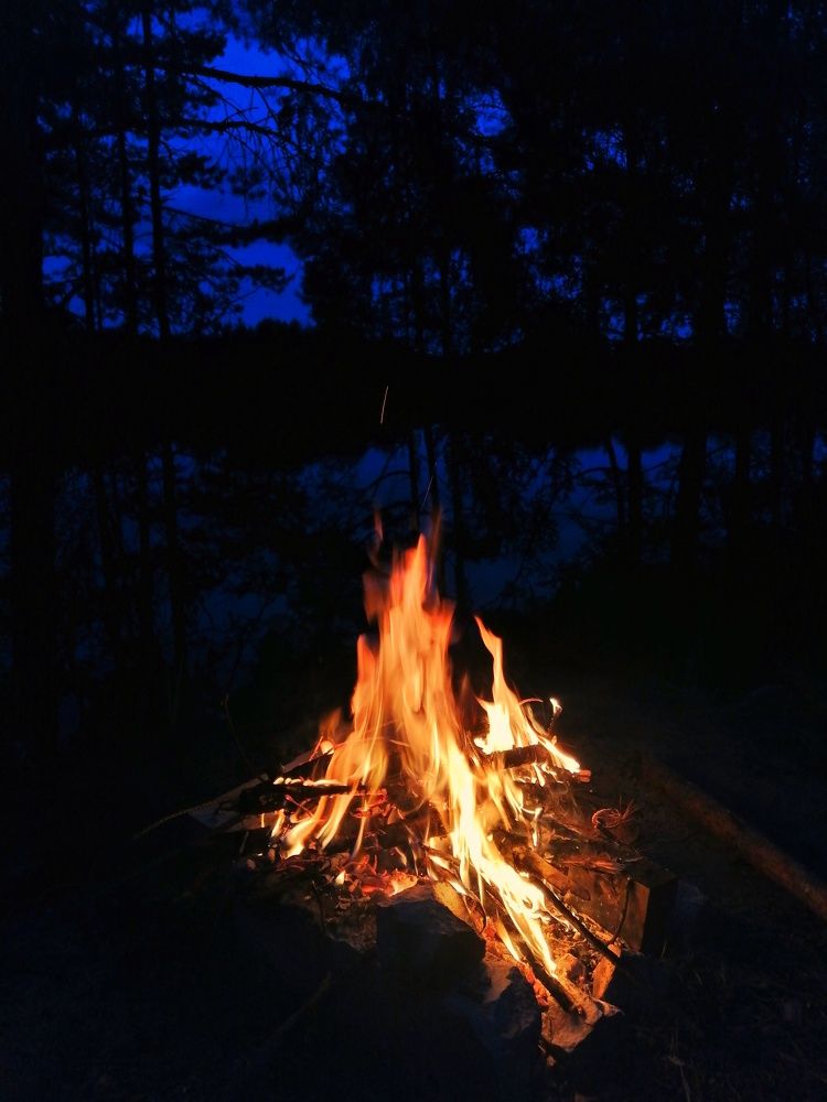 Photograph by Алиса