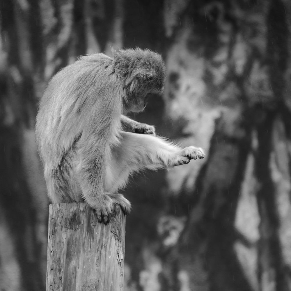 Photograph by Евгения Шулакова