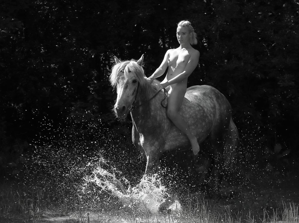 Фотография автора Михаил Кротков