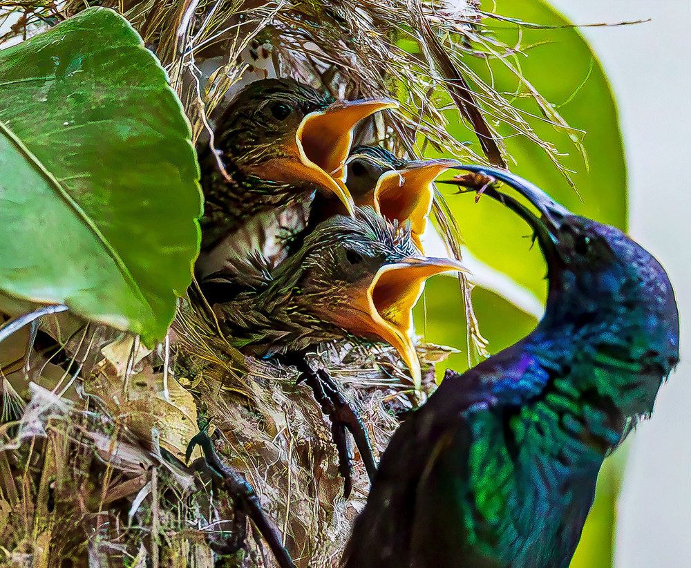 Photograph by ADLER GOLDFARB