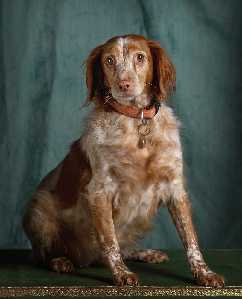 Photograph by Mònica Udina