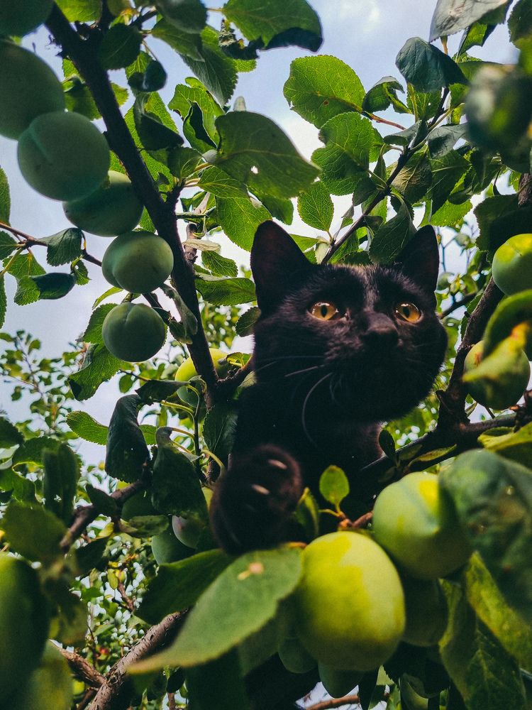 Photograph by Ирина Герлин