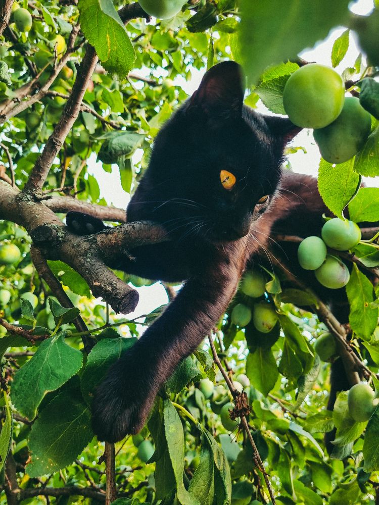 Photograph by Ирина Герлин