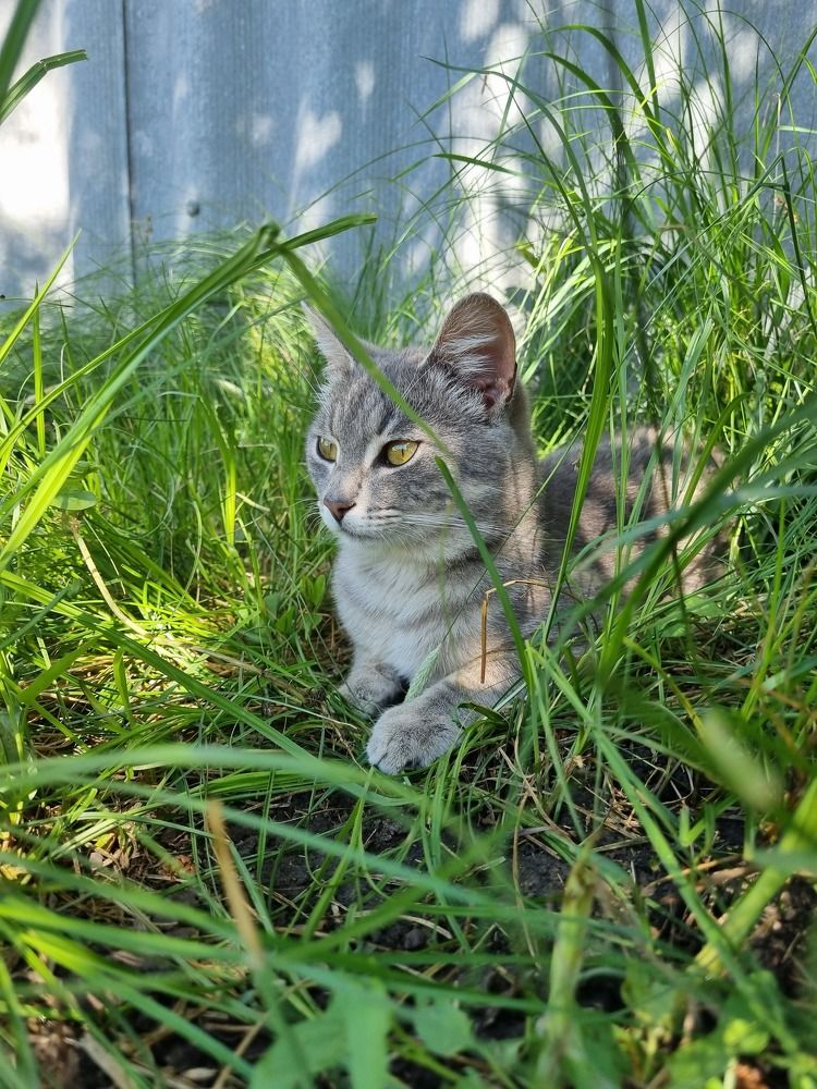 Photograph by Ирина Герлин