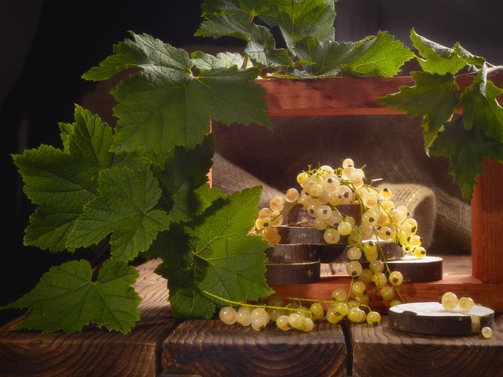 Photograph by Николай Дибров