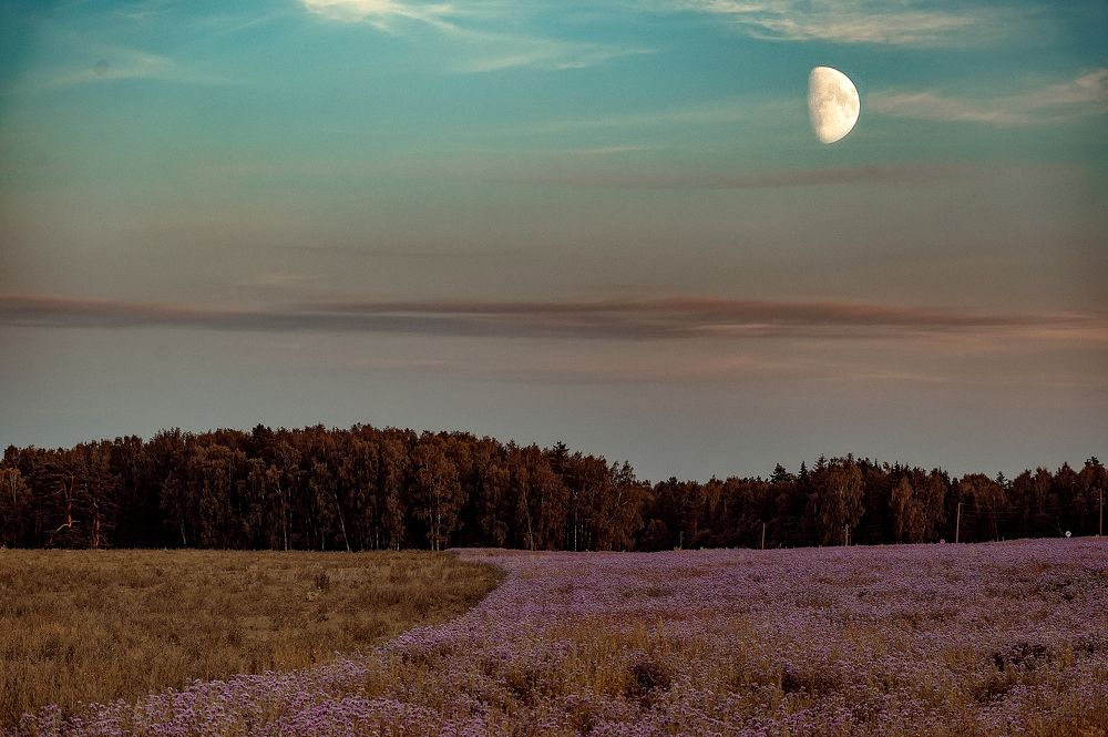 Photograph by Елена Ефимова