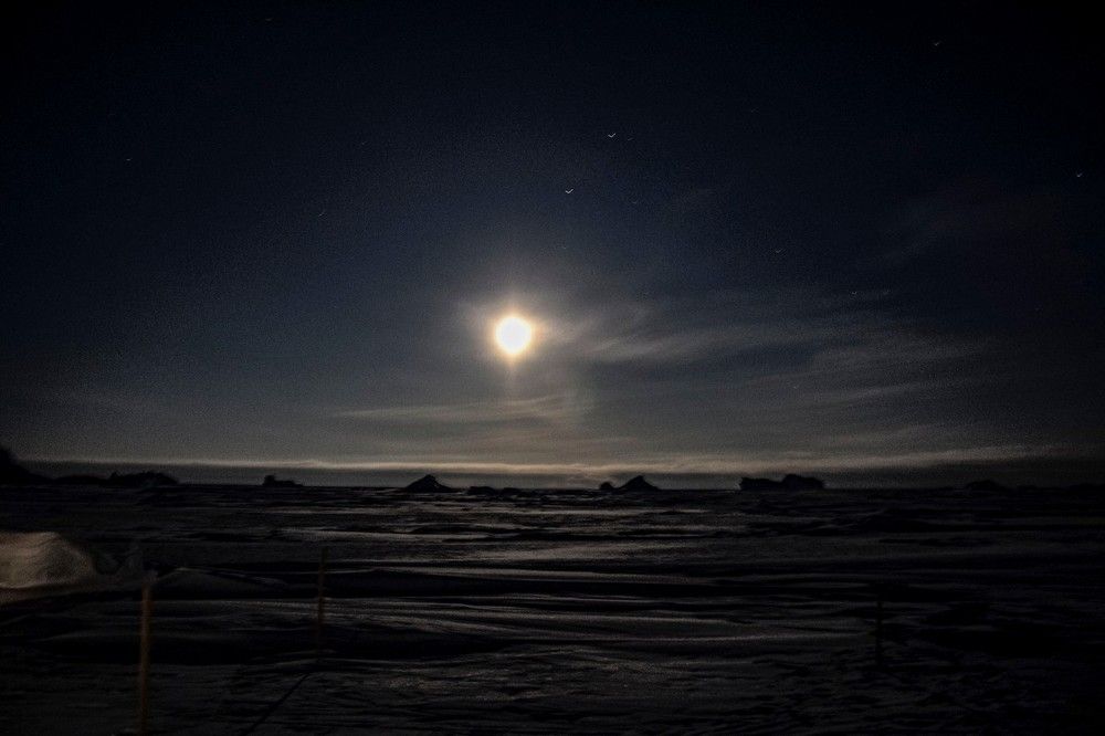 Photograph by Алексей Логинов