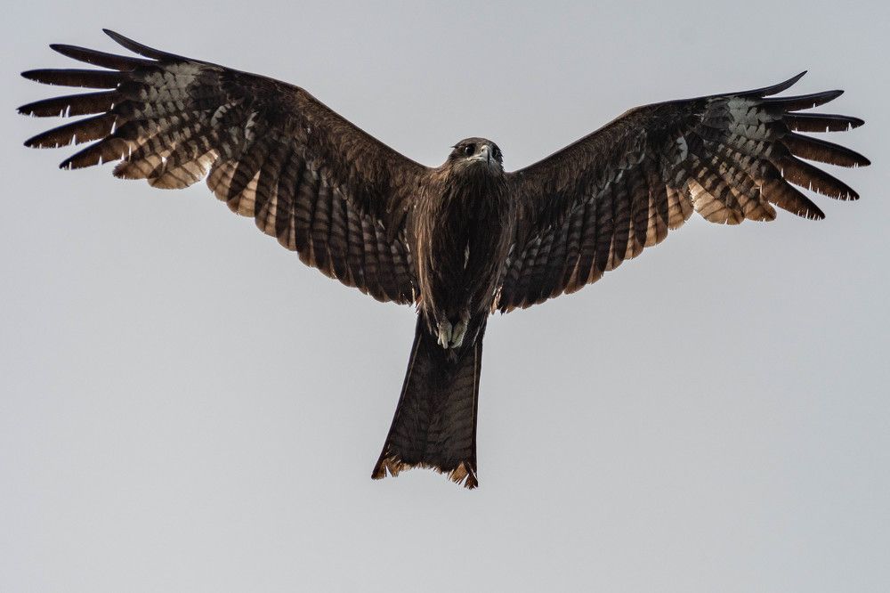 Photograph by Андрей Бородкин