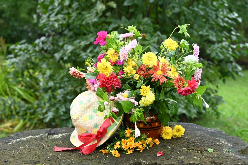 Photograph by Sviatlana