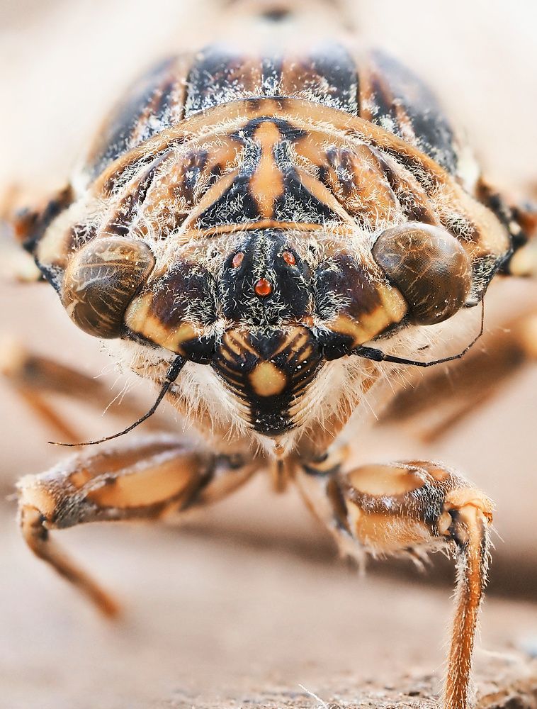 Photograph by Ирина Протченко