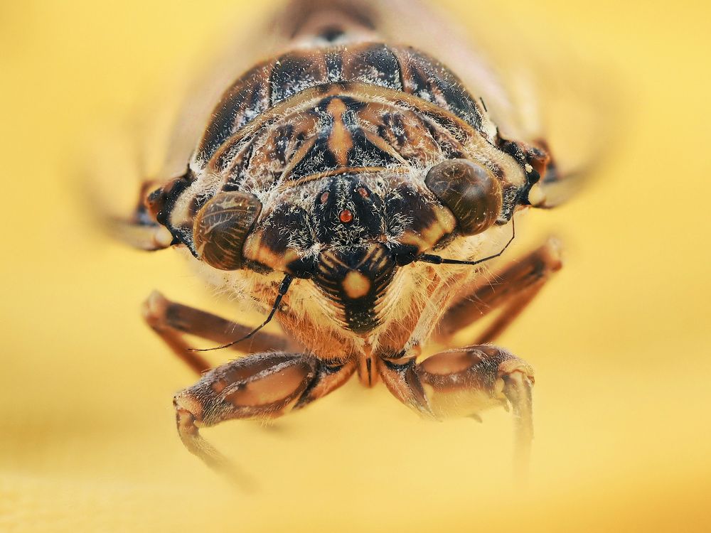 Photograph by Ирина Протченко