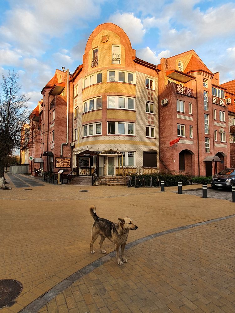 Photograph by Иван Соловьёв