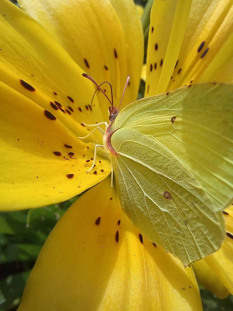 Photograph by Евгений Савулькин