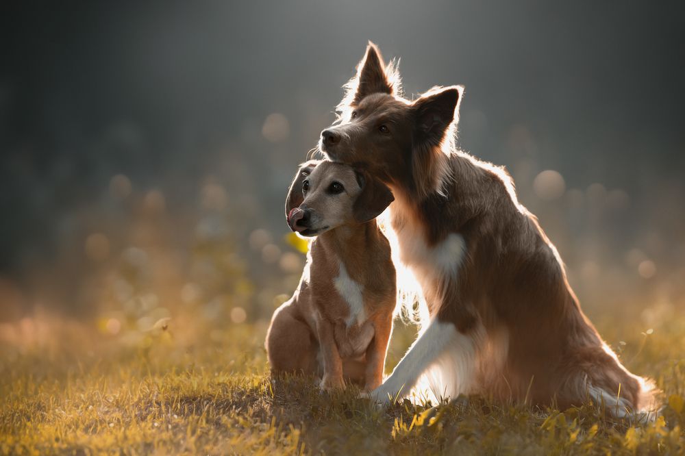 Photograph by Светлана Писарева