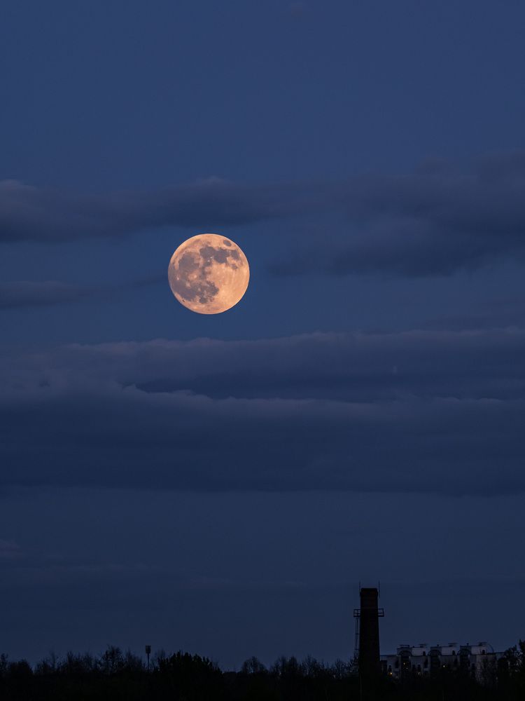 Photograph by Iryna Siamionava