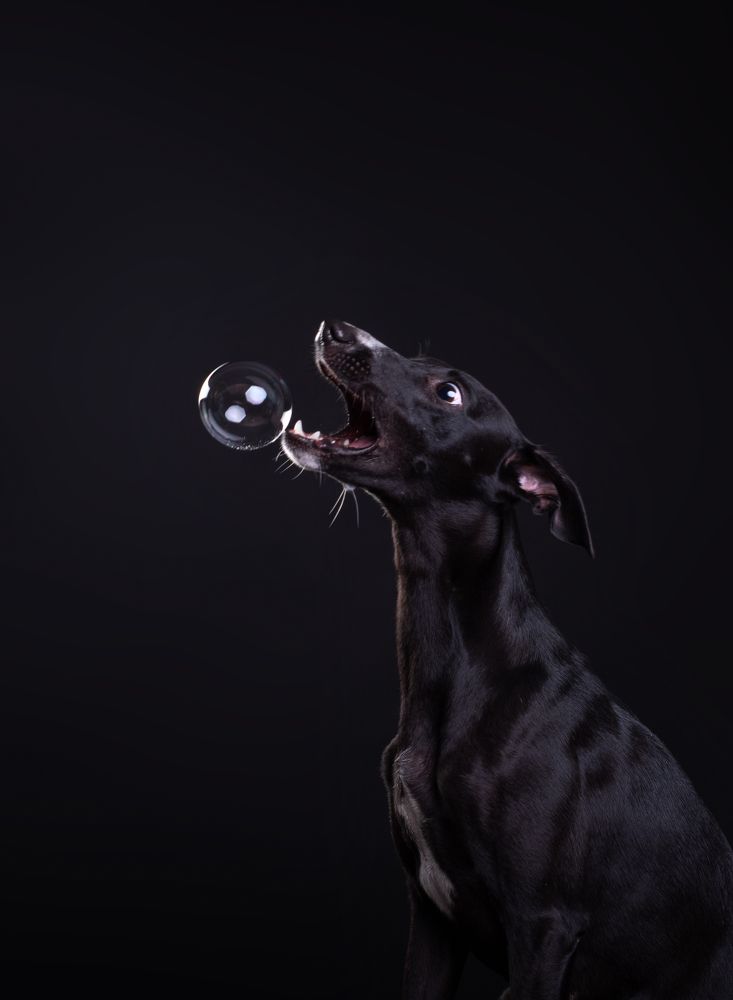 Photograph by наталья залогина