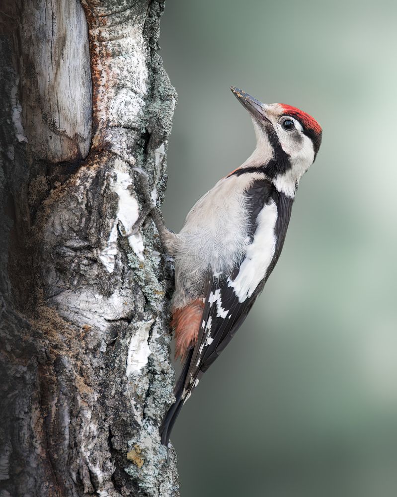 Фотография автора Митин Дмитрий