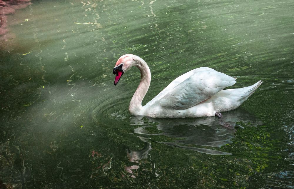 Photograph by Алекскандр Фатеев