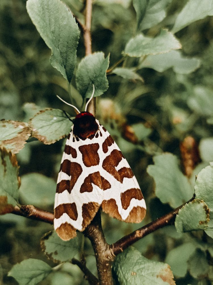 Photograph by Елена Подшевалова