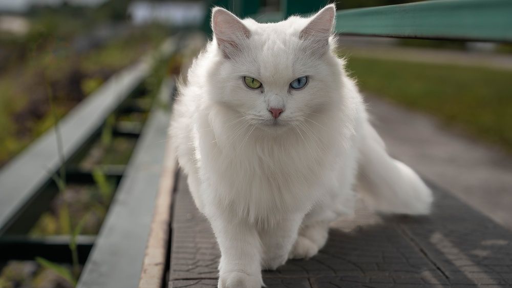 Photograph by Игорь Иванов