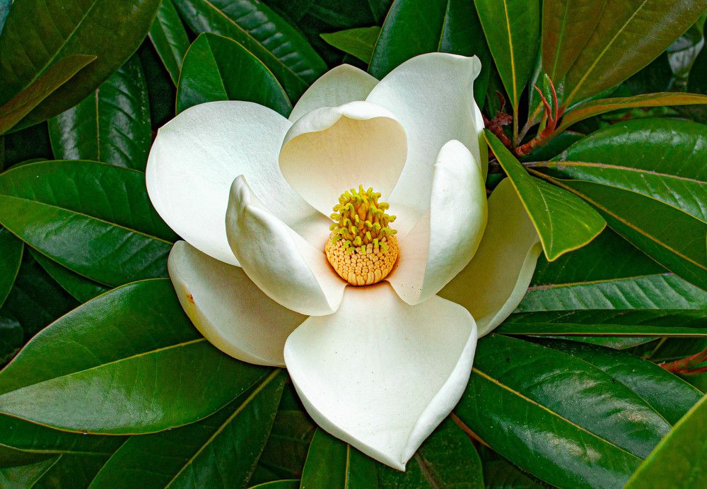 Photograph by Алекскандр Фатеев