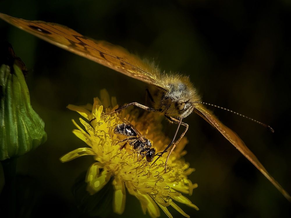 Photograph by Лариса Когтева