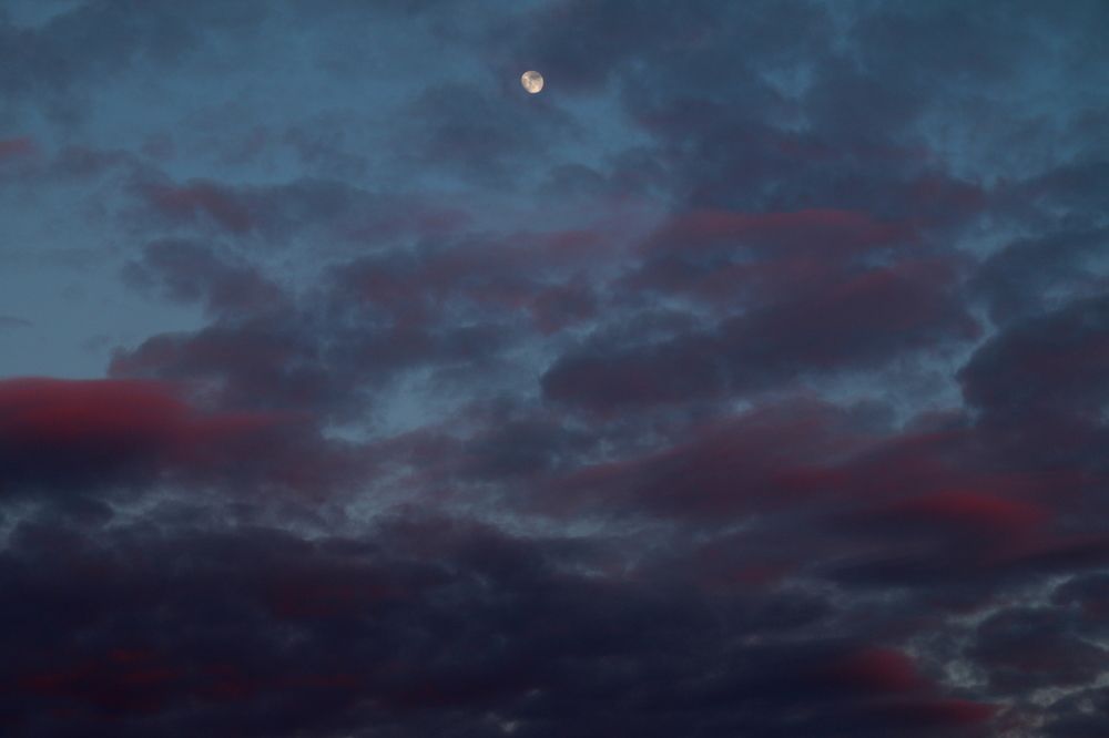 Photograph by Софья Белоногова