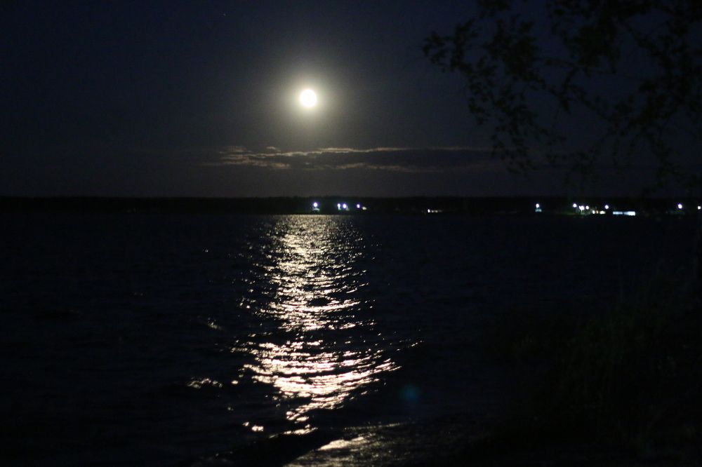 Photograph by Софья Белоногова