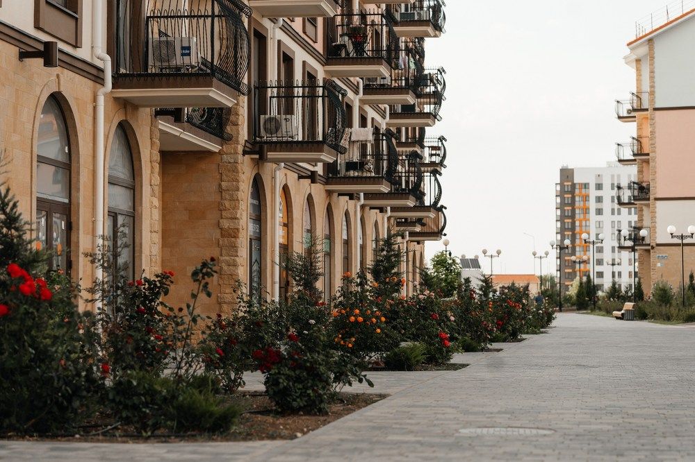 Photograph by ЕКАТЕРИНА ГЕРАСИМОВА