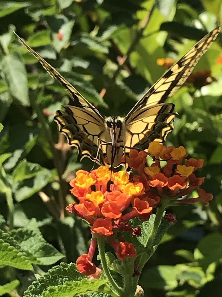 Фотография автора Maurizio Ruggiero
