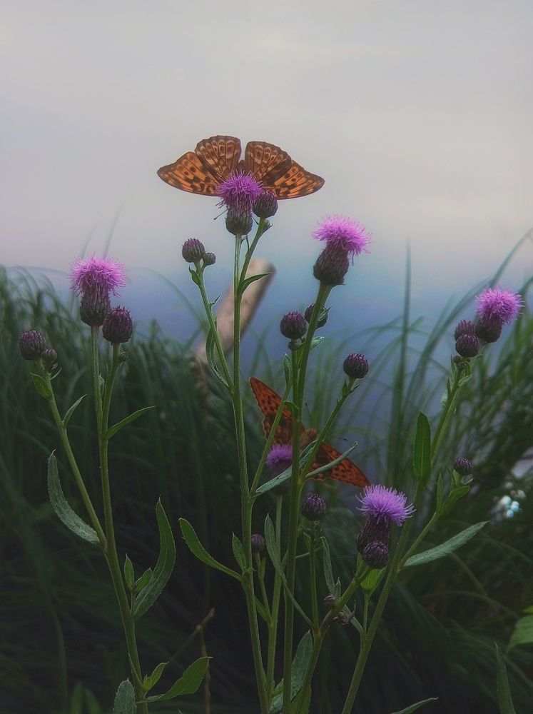Photograph by Мария