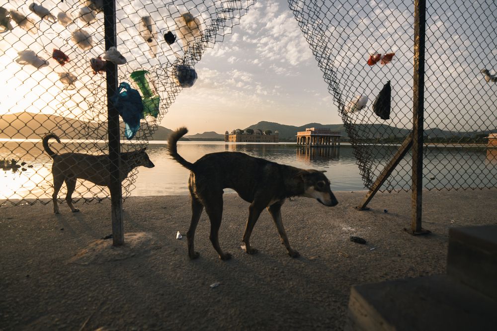 Photograph by Adrian Grigore